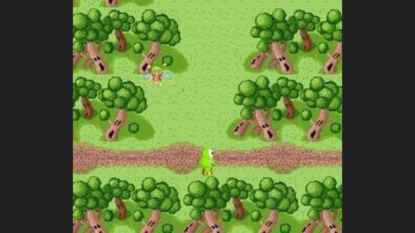 Enchanted forest