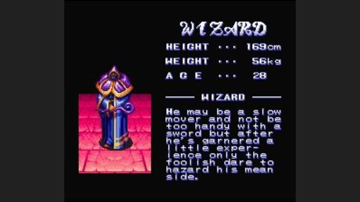 Character description screen