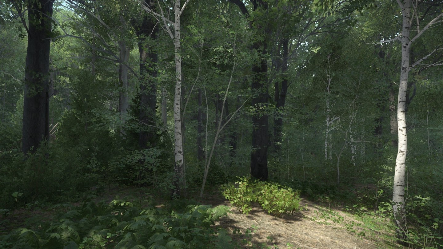 Kingdom Come: DeliveranceKingdom Come: Deliverance hat jetzt schon die schönsten Wälder der Spielegeschichte.