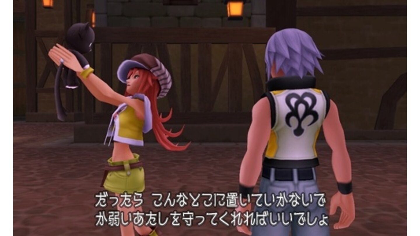 Kingdom Hearts 3D: Dream Drop Distance