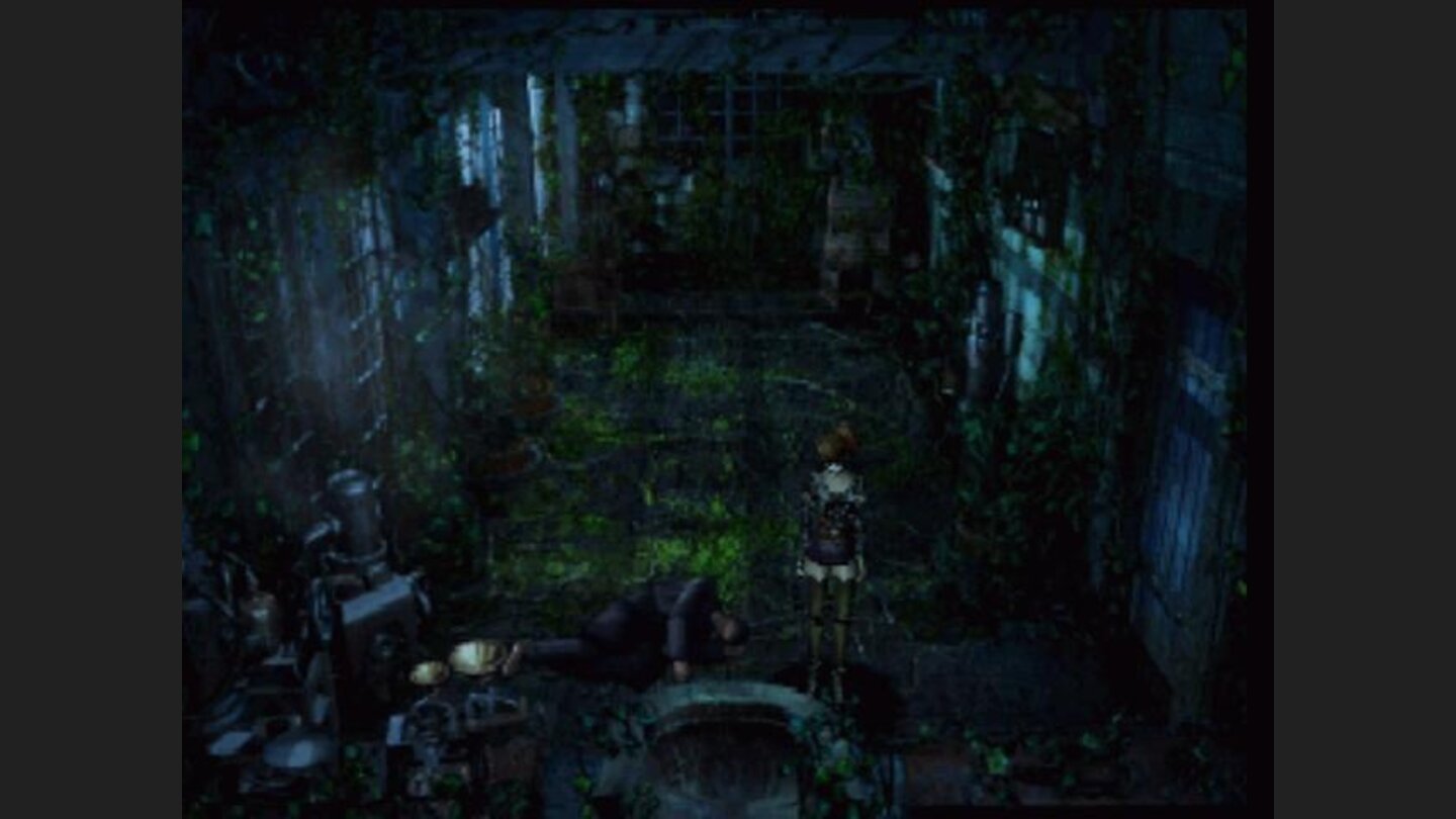 Outside in the garden