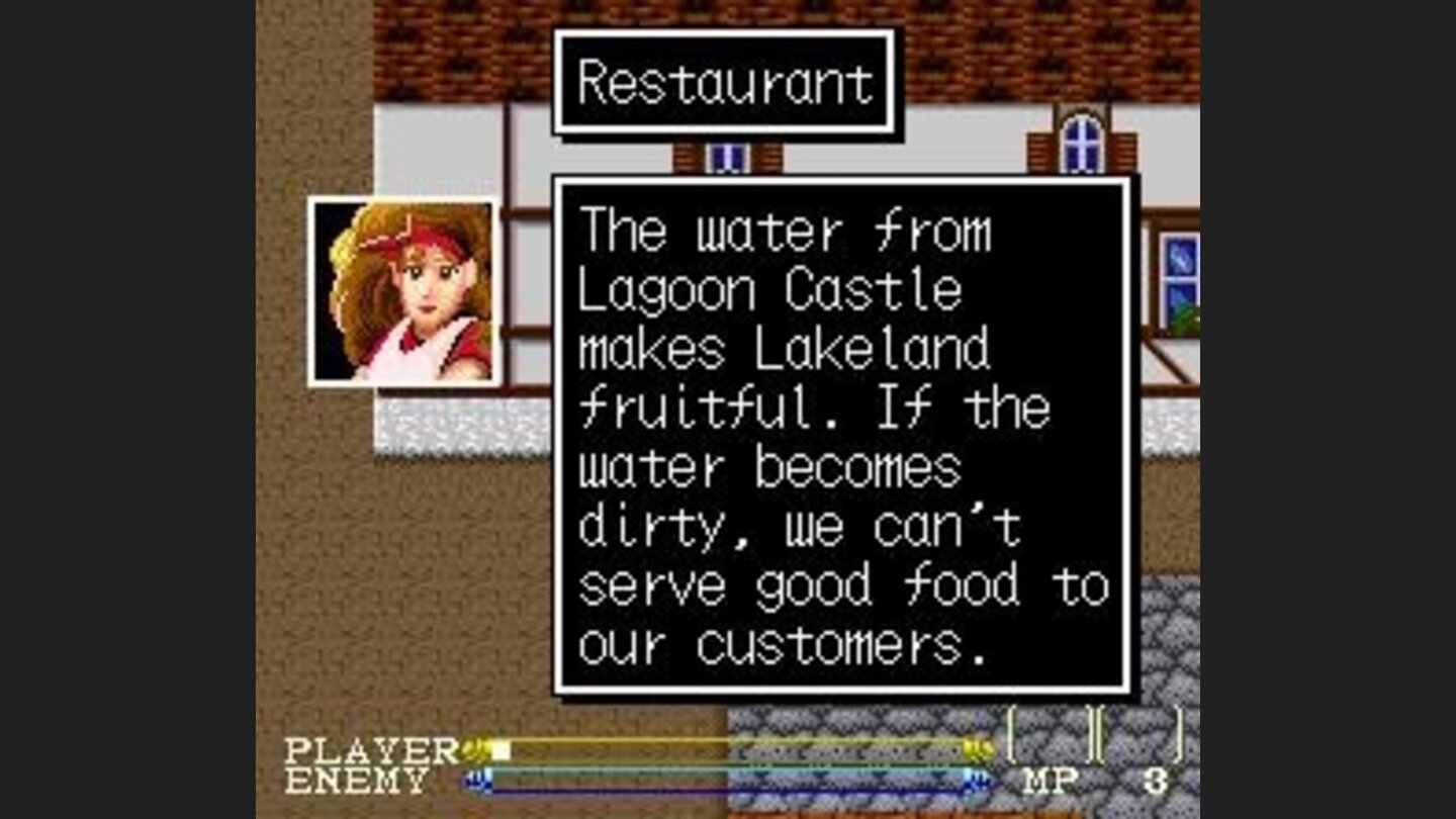 Talking to restaurant owner