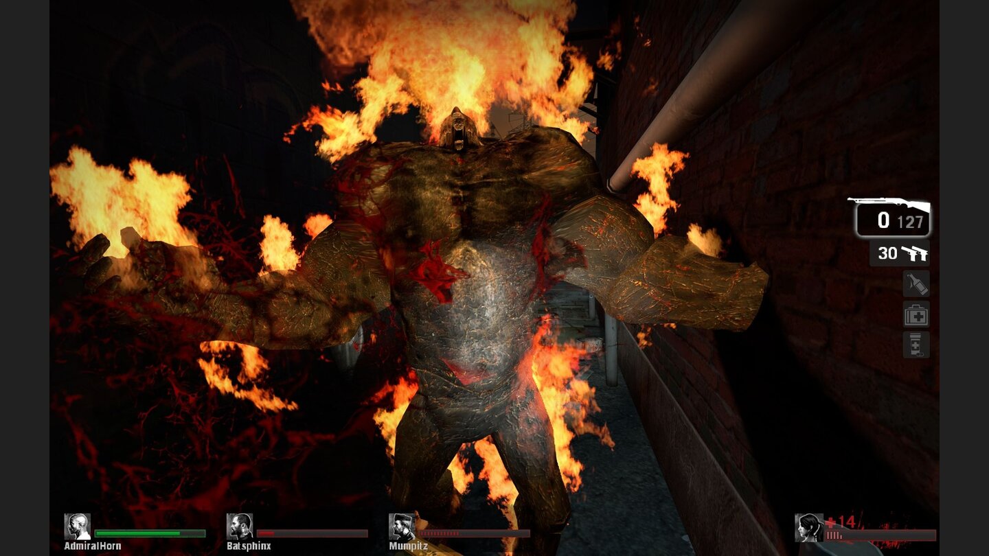 Left 4 Dead: Die Boss-Infizierten