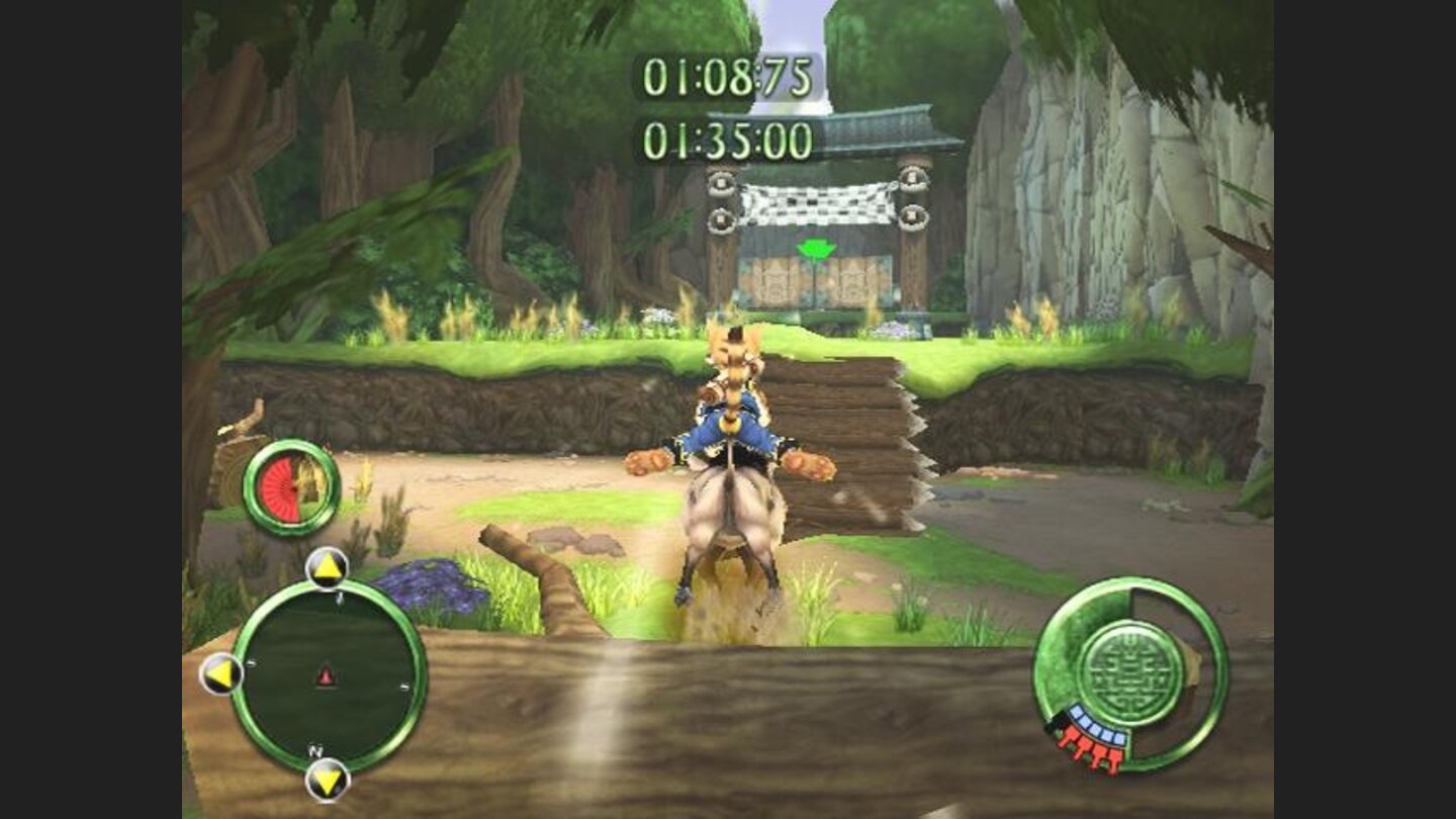 Riding a boar in the forest