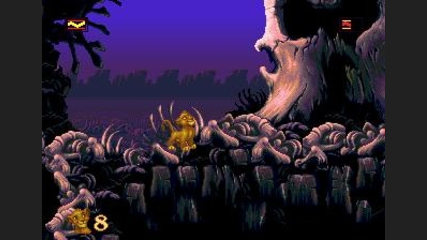 Elefants graveyard