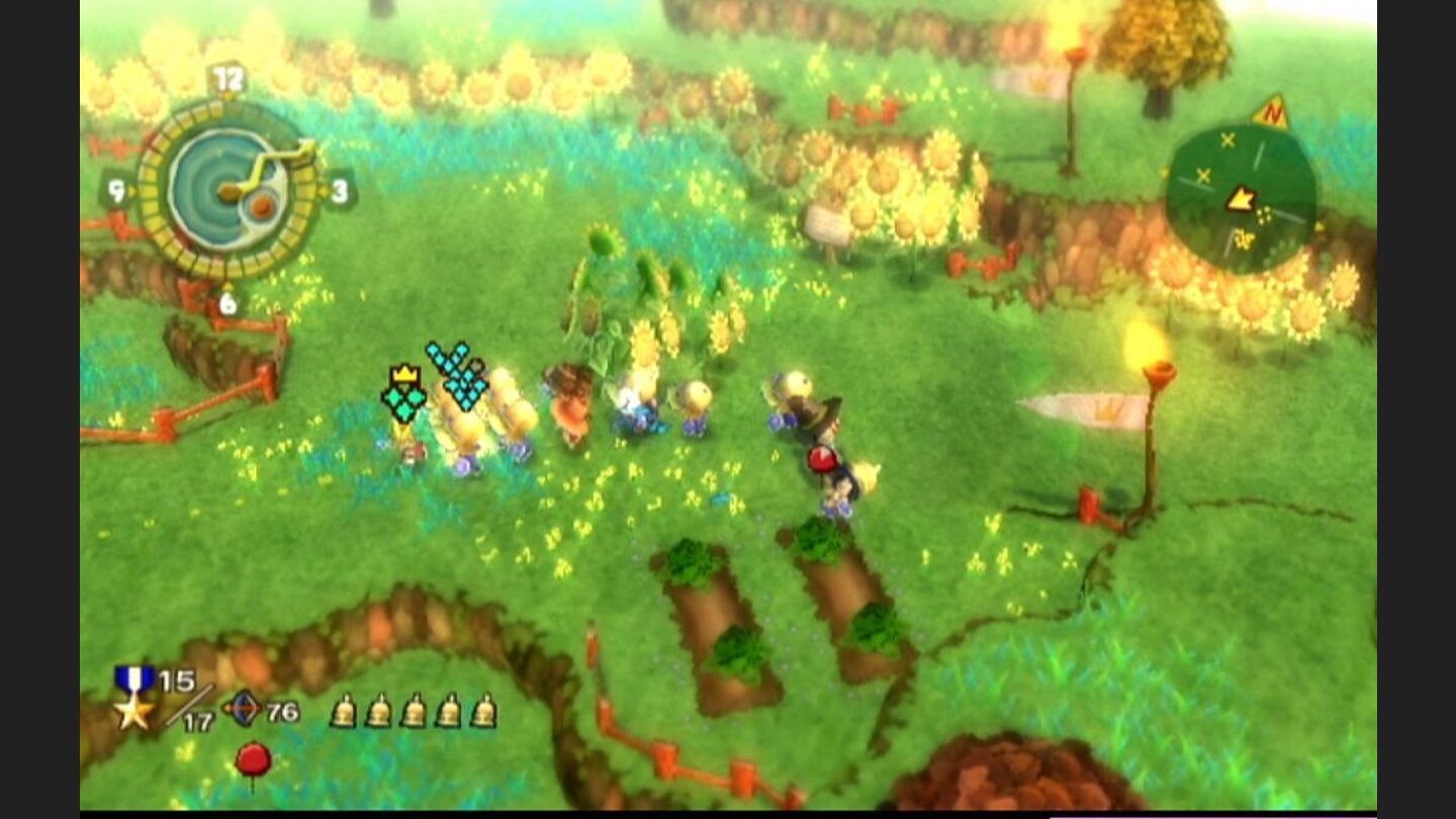 little_kings_story_wii_004
