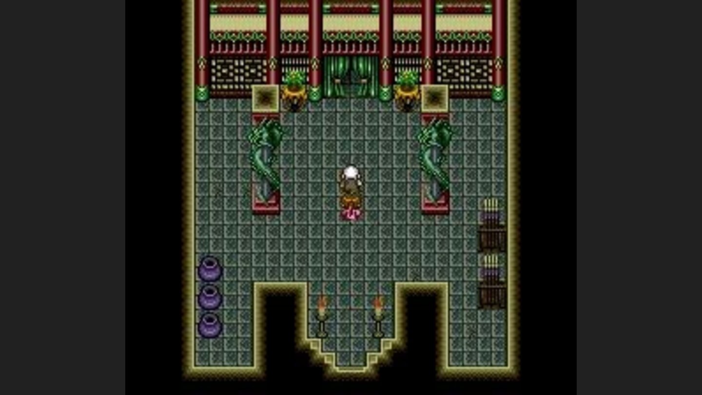 As the great kung-fu master Roshi, youve finally found your way to the enemys castle...