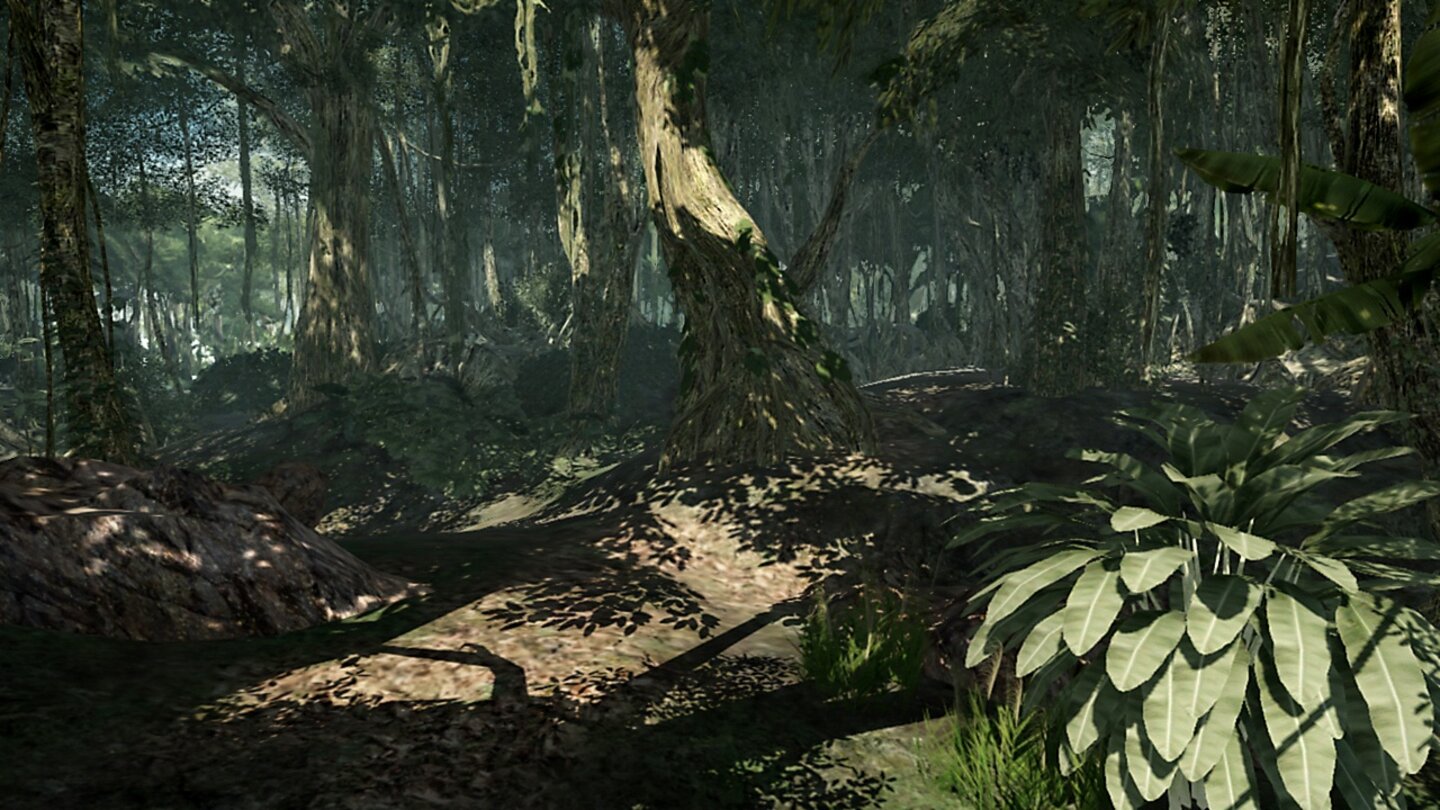 Lost Via Domus 9