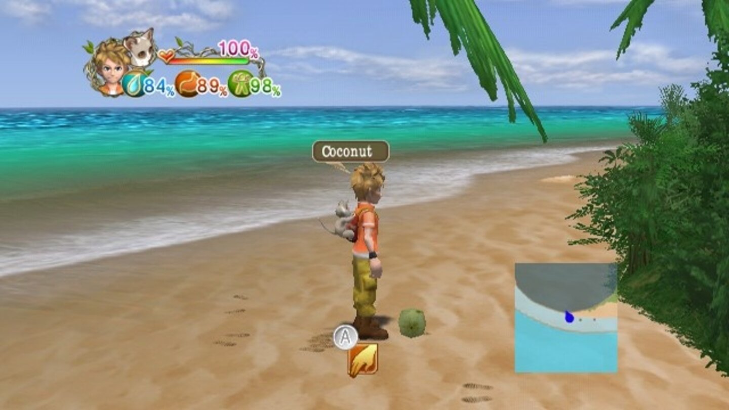 LostinBlueShipwreckedWii-16522-142 4