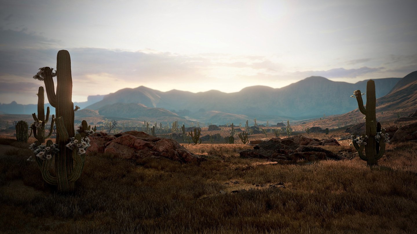 Wild West OnlineDie karge Landschaft des Wilden Westen endlich auch für den PC - die Entwickler sehen sich in der Pflicht, weil Rockstar Games es nicht selbst macht.