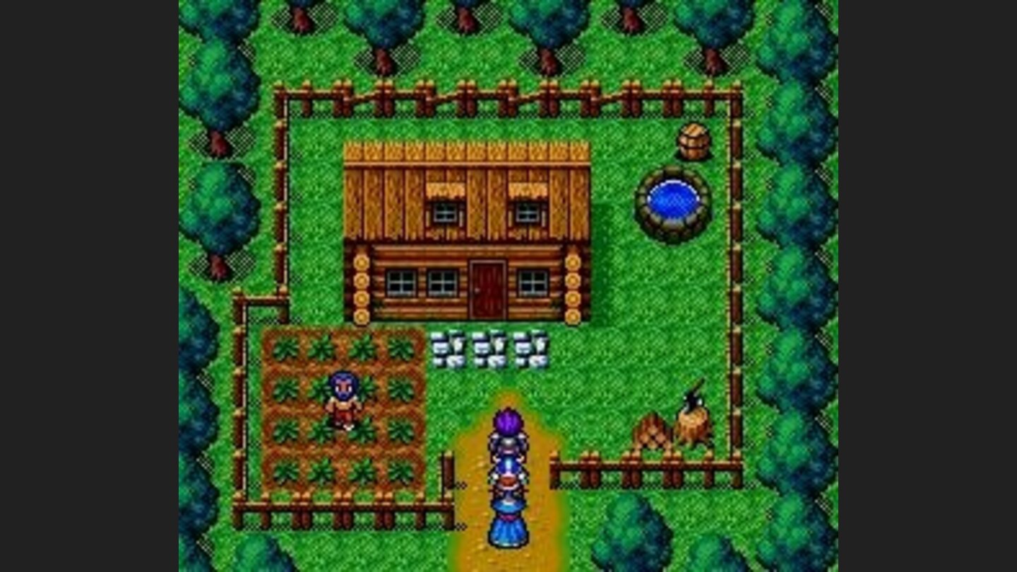 Visiting a little secluded house