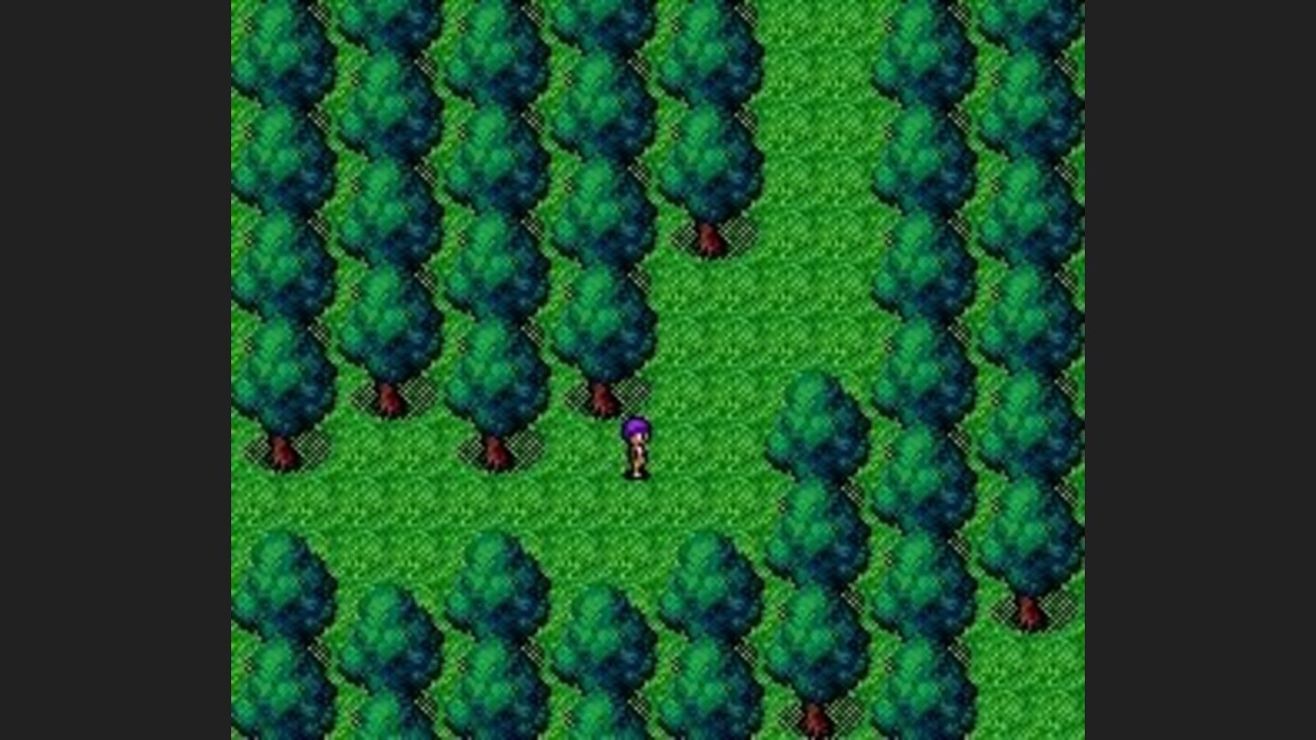 Alex in the forest