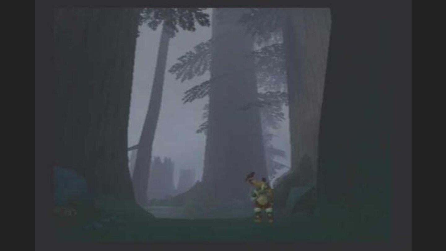 Entrance to the forest