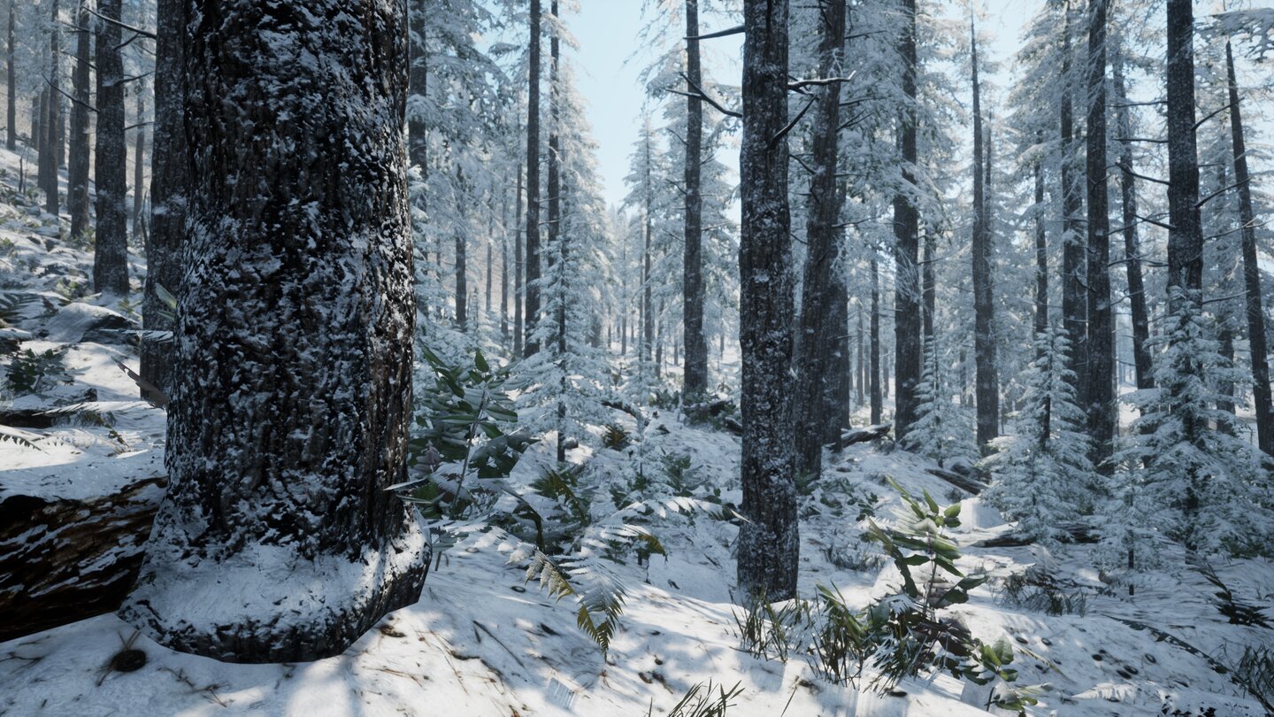 Medieval Dynasty Wald Winter