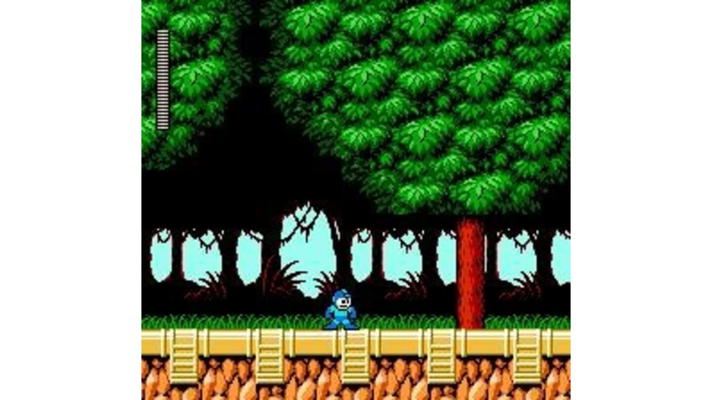 Plant Man's stage