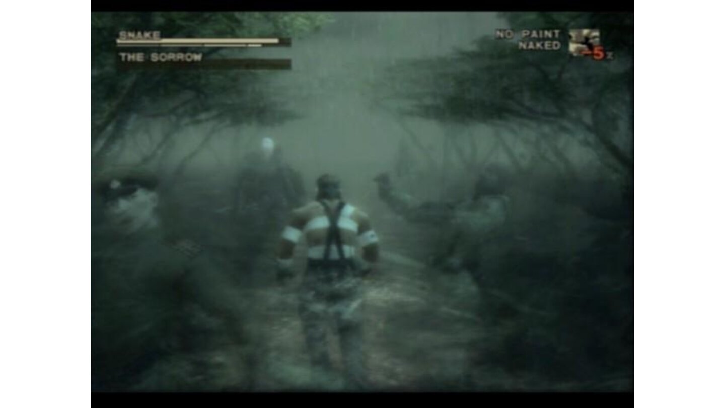 When facing The Sorrow, Snake will have to face a nightmare with everyone he's killed thus far
