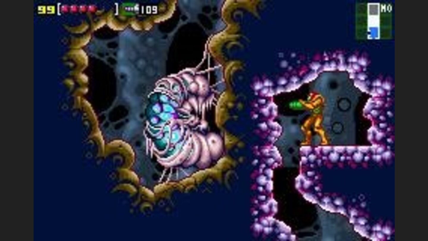 The remains of... something...