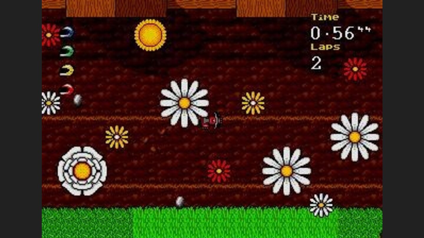 Flower Power