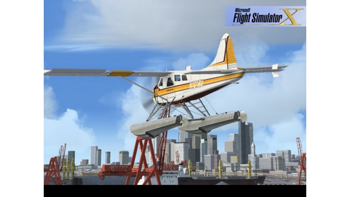 Microsoft Flug Simulator 10 10