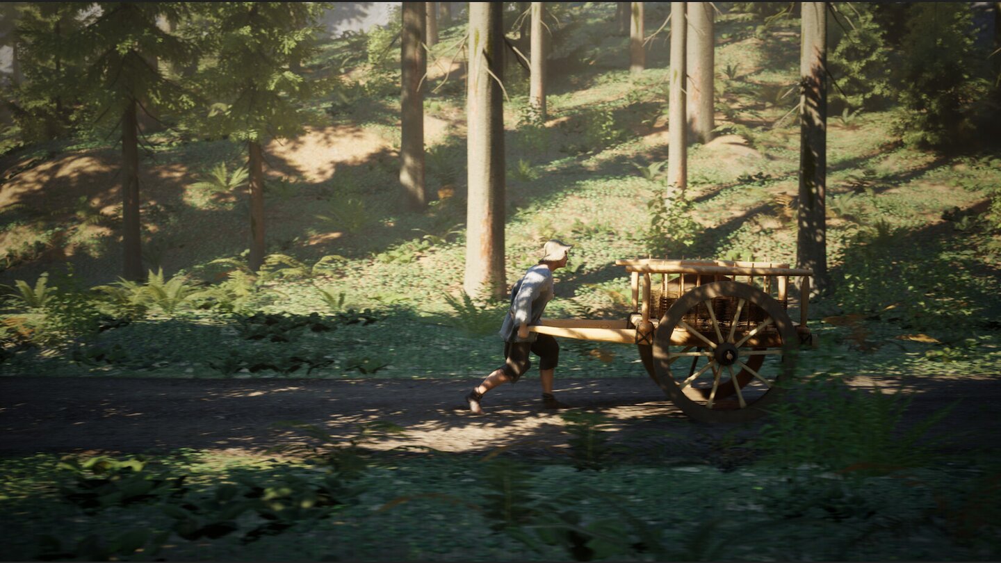 Middle Ages: Peasants and Knights - Screenshots