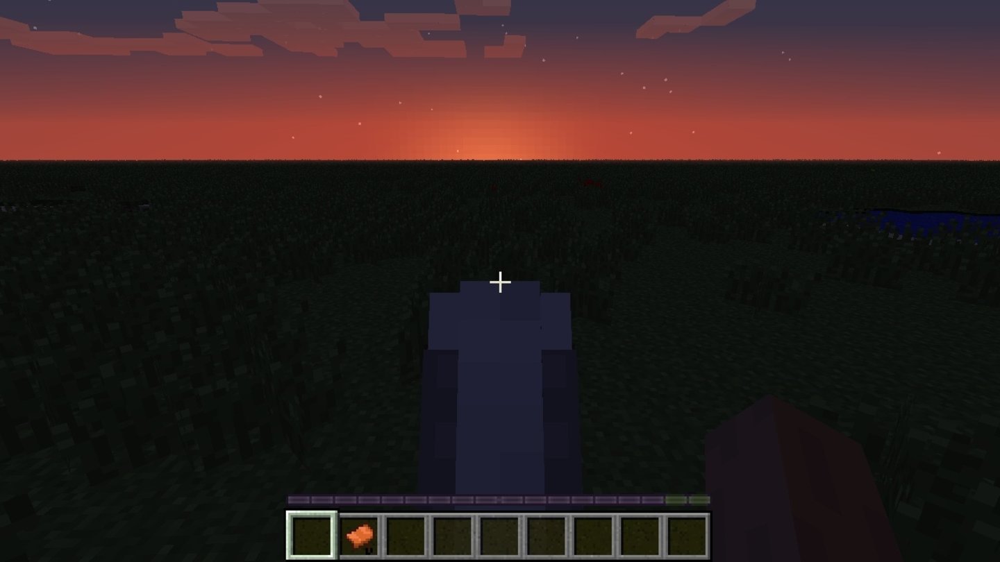 Minecraft - 1.6Wir reiten in den malerischen Sonnenuntergang. Die Leiste über den Inventarslots ist die Sprungleiste. Je höher wir diese aufladen, desto weiter springt unser Pferd.