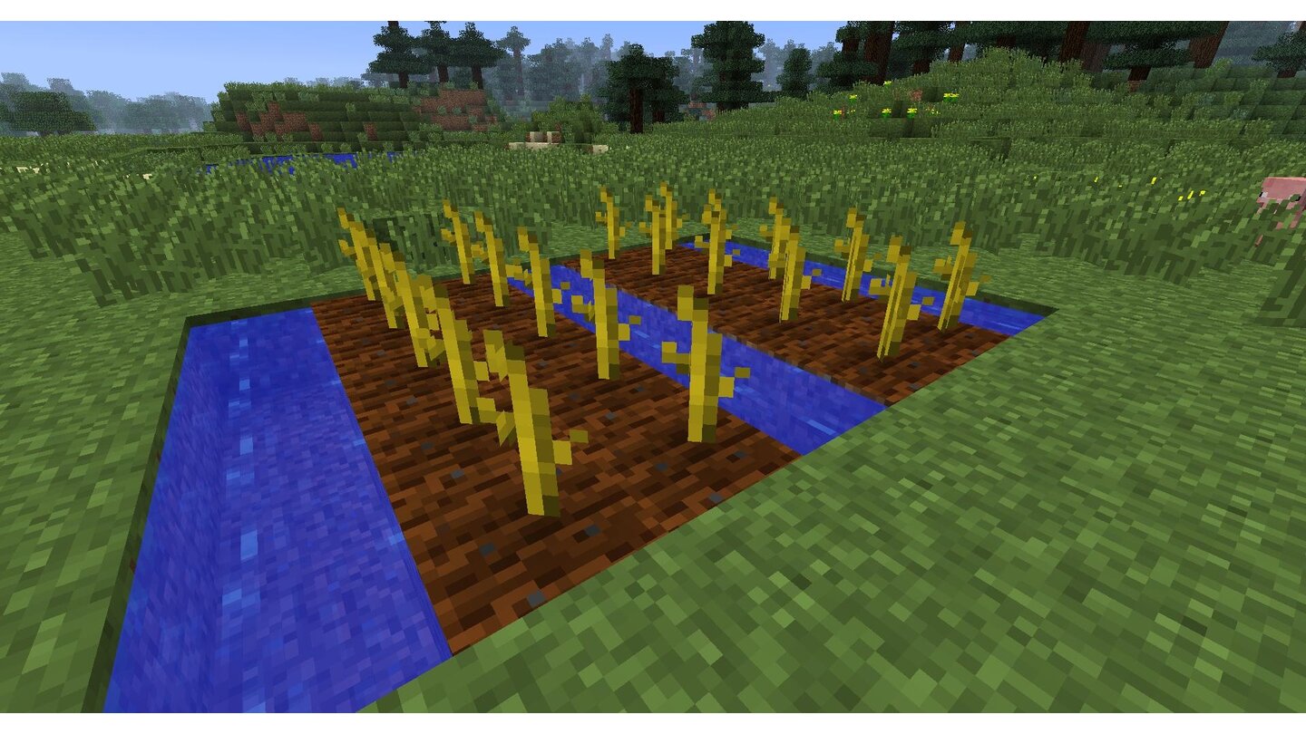 Minecraft - Adventure-Update 1.8 Neben Getreide können Sie jetzt auch Melonen und Kürbisse anbauen