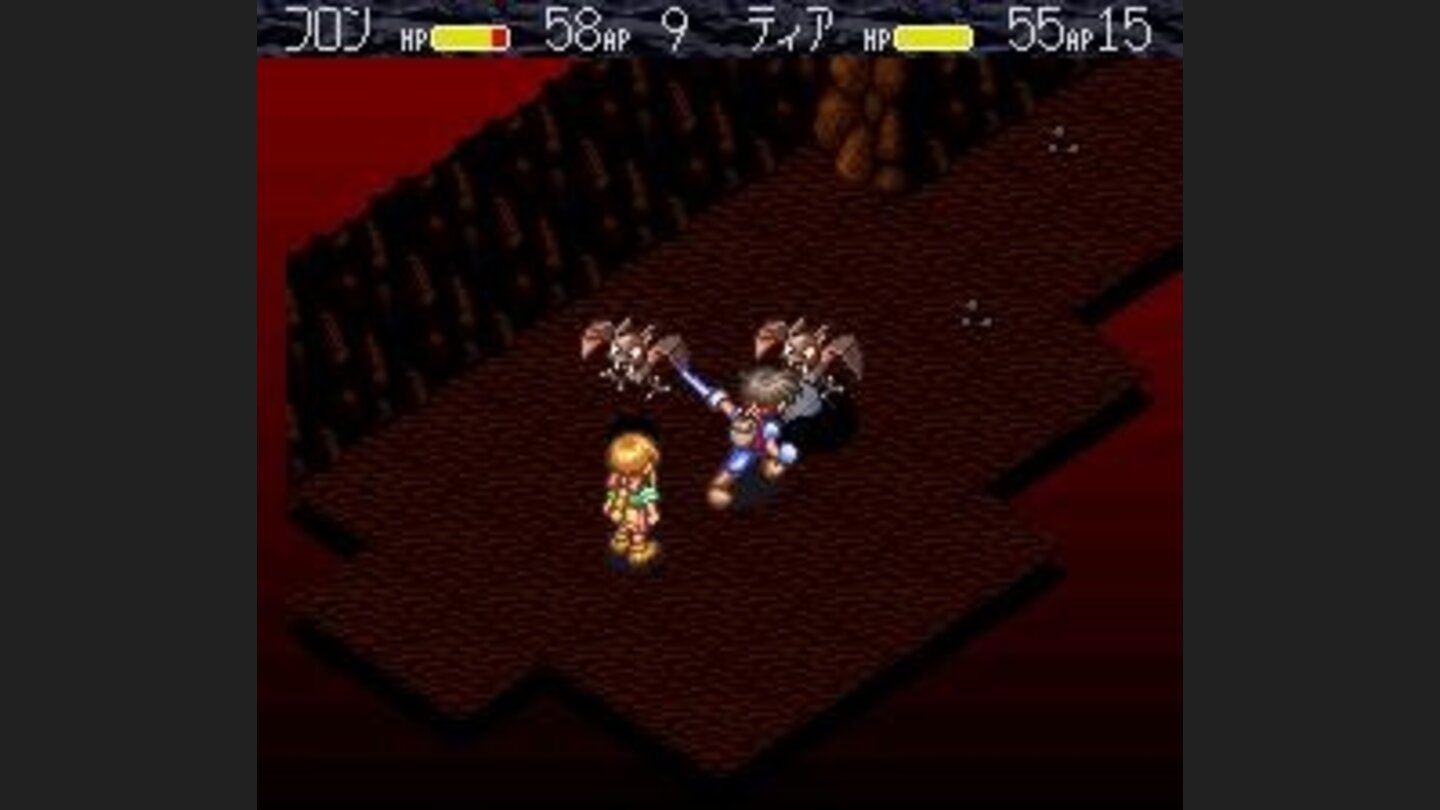 Fighting bats in a cave