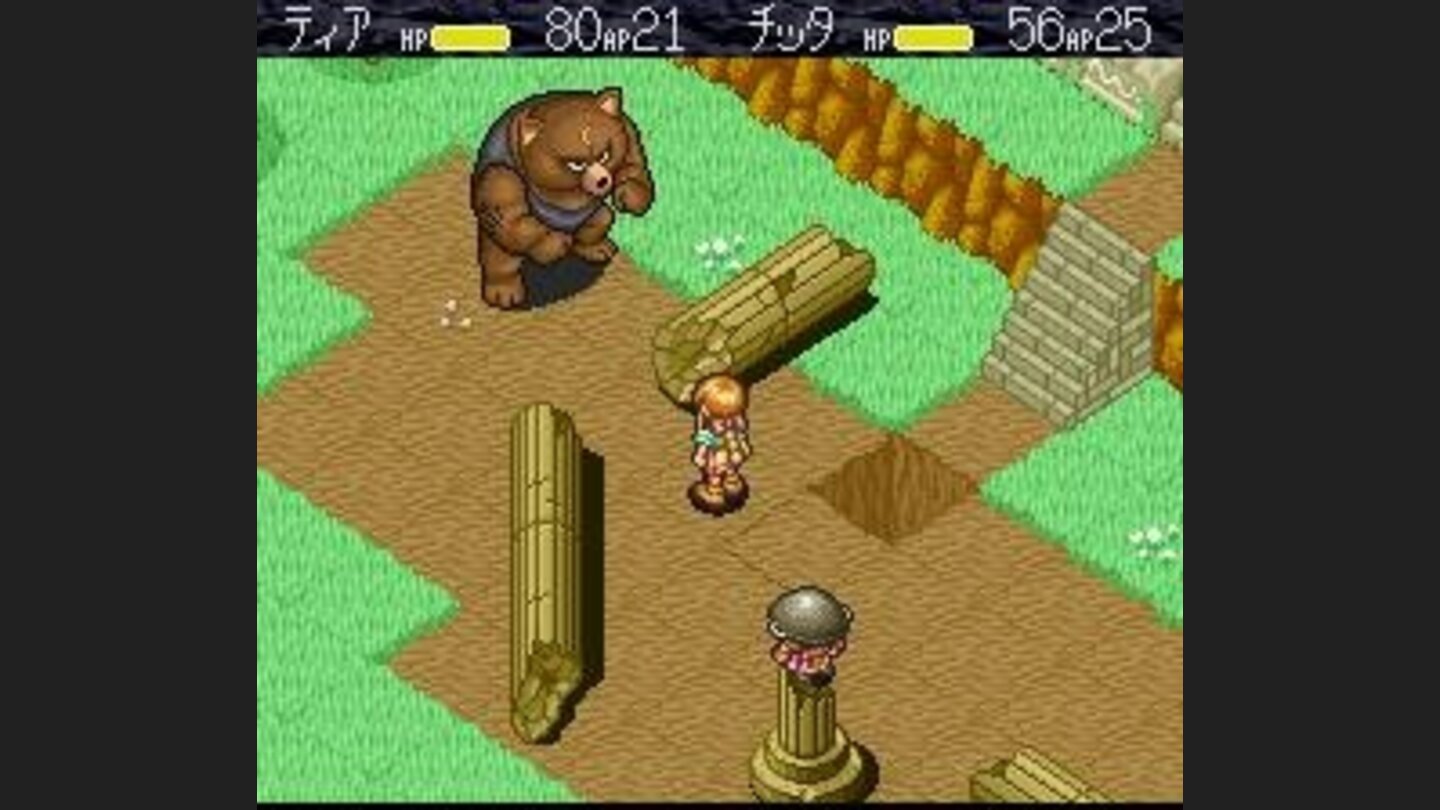 Lure the bear to the hole