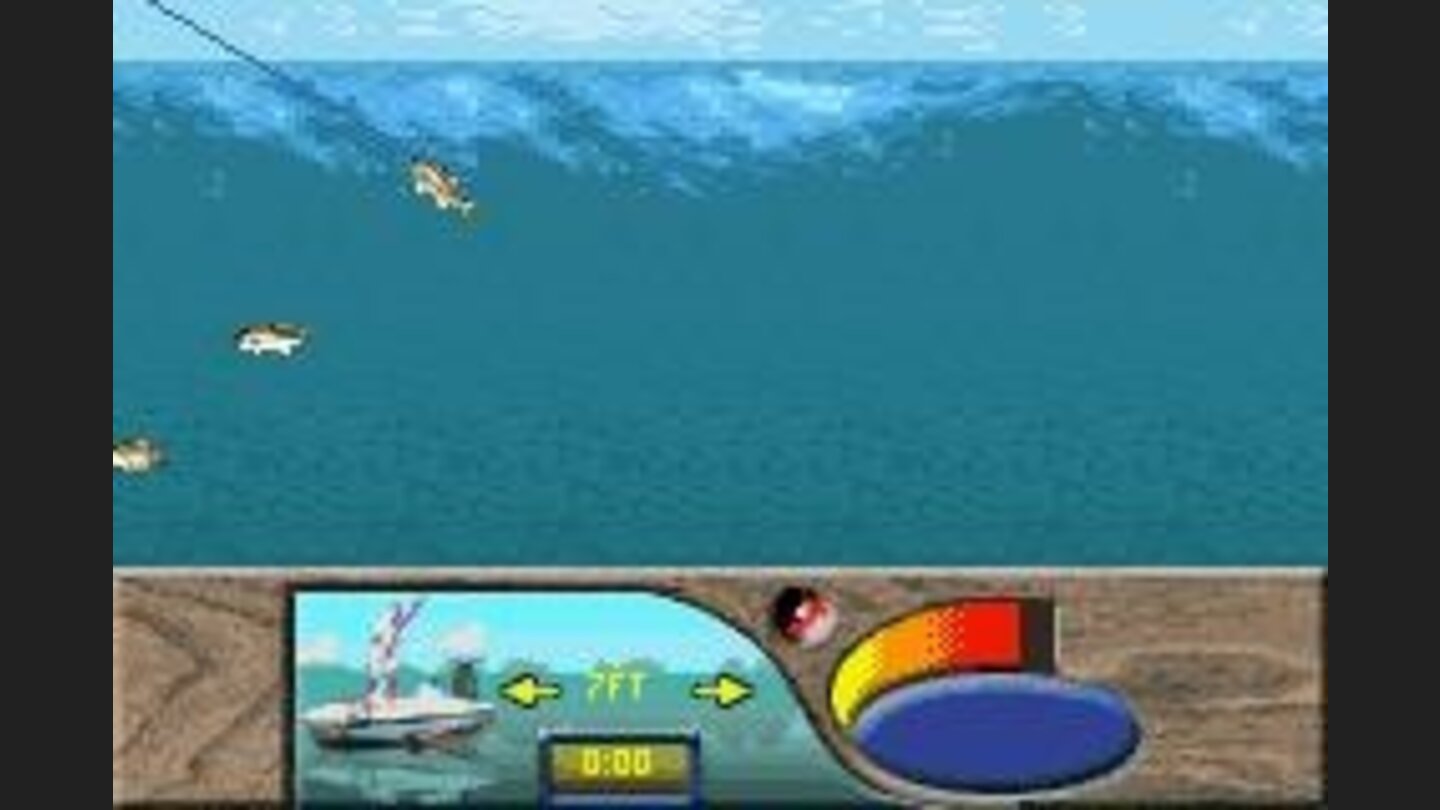 Reeling in the fish