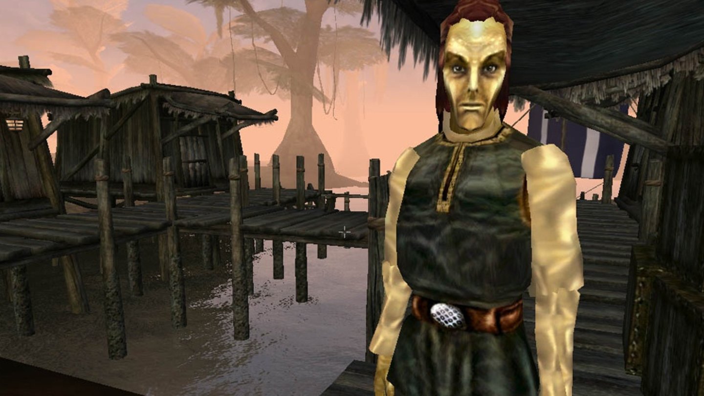 The Elder Scrolls III: MorrowindMorrowind war zum Erscheinungstermin 2002 eines der grafisch beeindruckensten aber auch hardwarehungrigsten Rollenspiele. Besonders auffällig war die Wasserdarstellung, die die neuen DirectX-8-Shader zum Einsatz brachte und eine besonders glaubwürdige Flüssigkeitsdarstellung erlaubte.