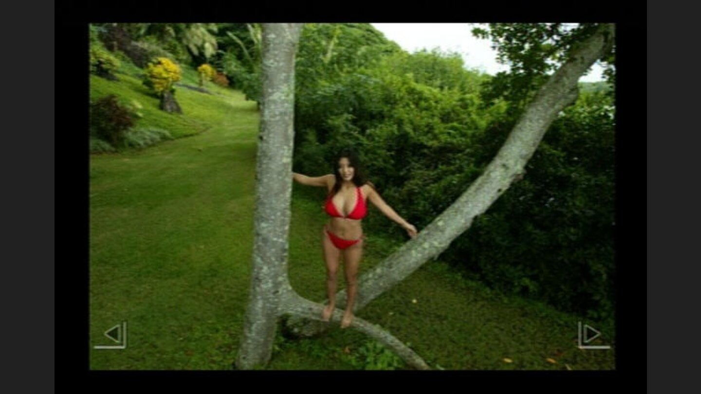 Often the player is treated to movement around Harumi (instead of stationary photography).