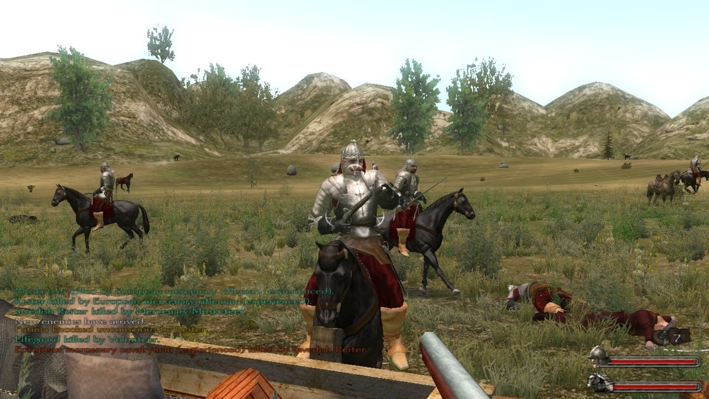 Mount & Blade: Fire and Sword