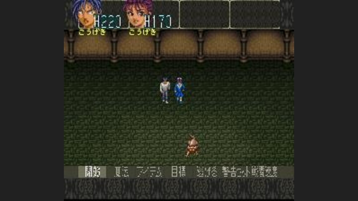 Regular battle with commands