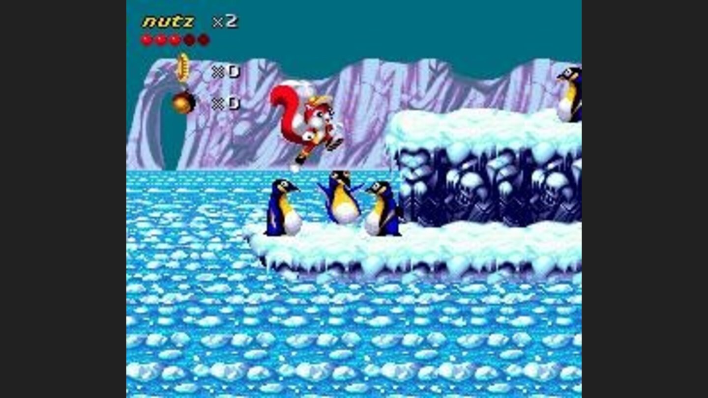 Penguins!