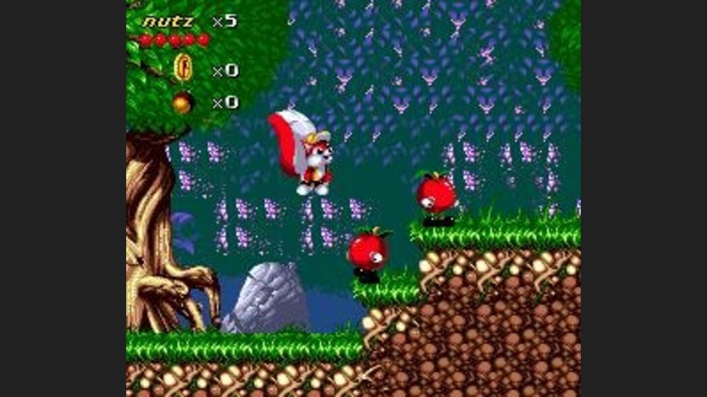 Forest level