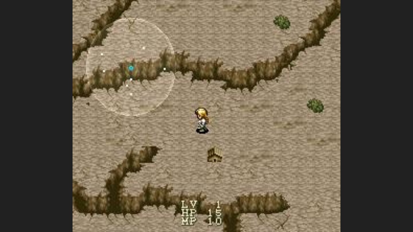 World map in the Cat World