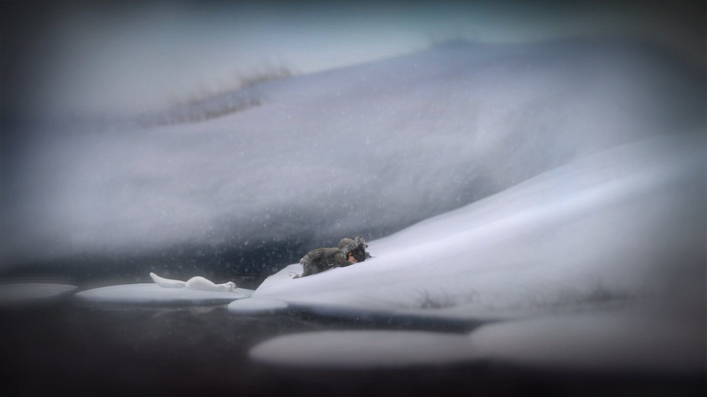 Never AloneIm nordwestlichen Alaska herrscht raues Wetter. Bläst der Wind zu stark, kauert sich das Duo hin, um nicht davongeweht zu werden.