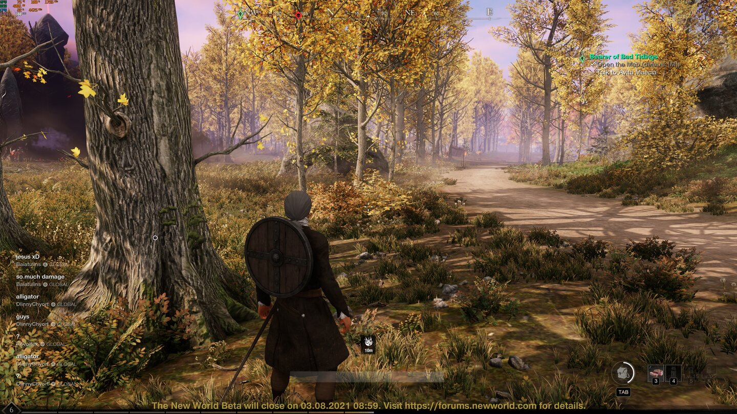 New World Closed Beta Technik-Check RTX 3080 Ti 4K VRAM 3. Mittel