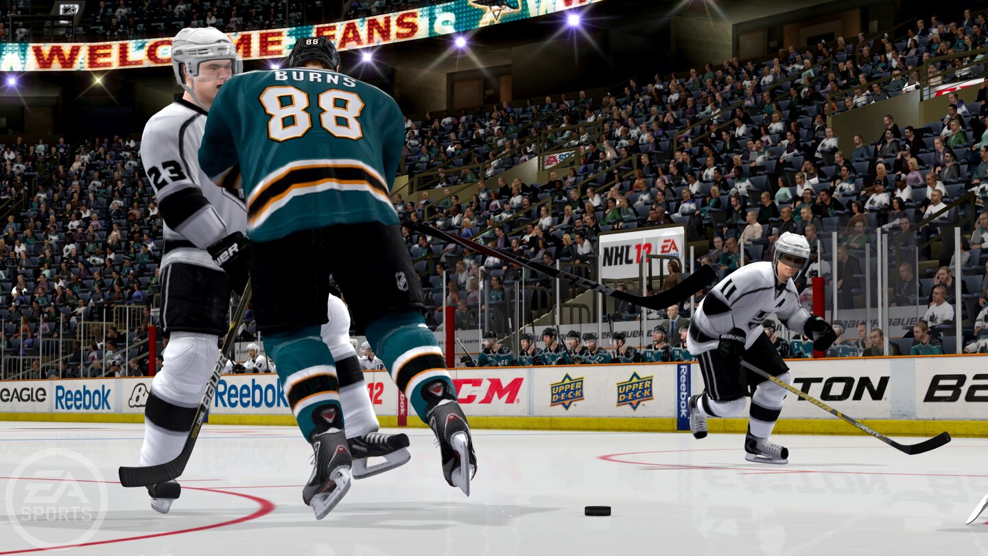 NHL 13