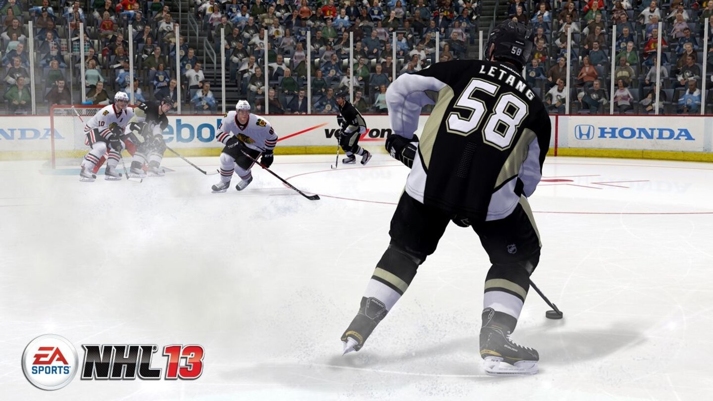 NHL 13