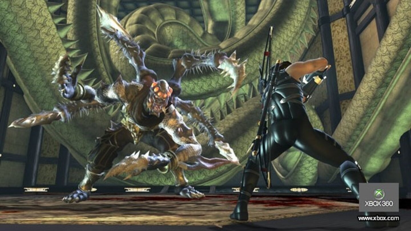 Ninja Gaiden 2 5