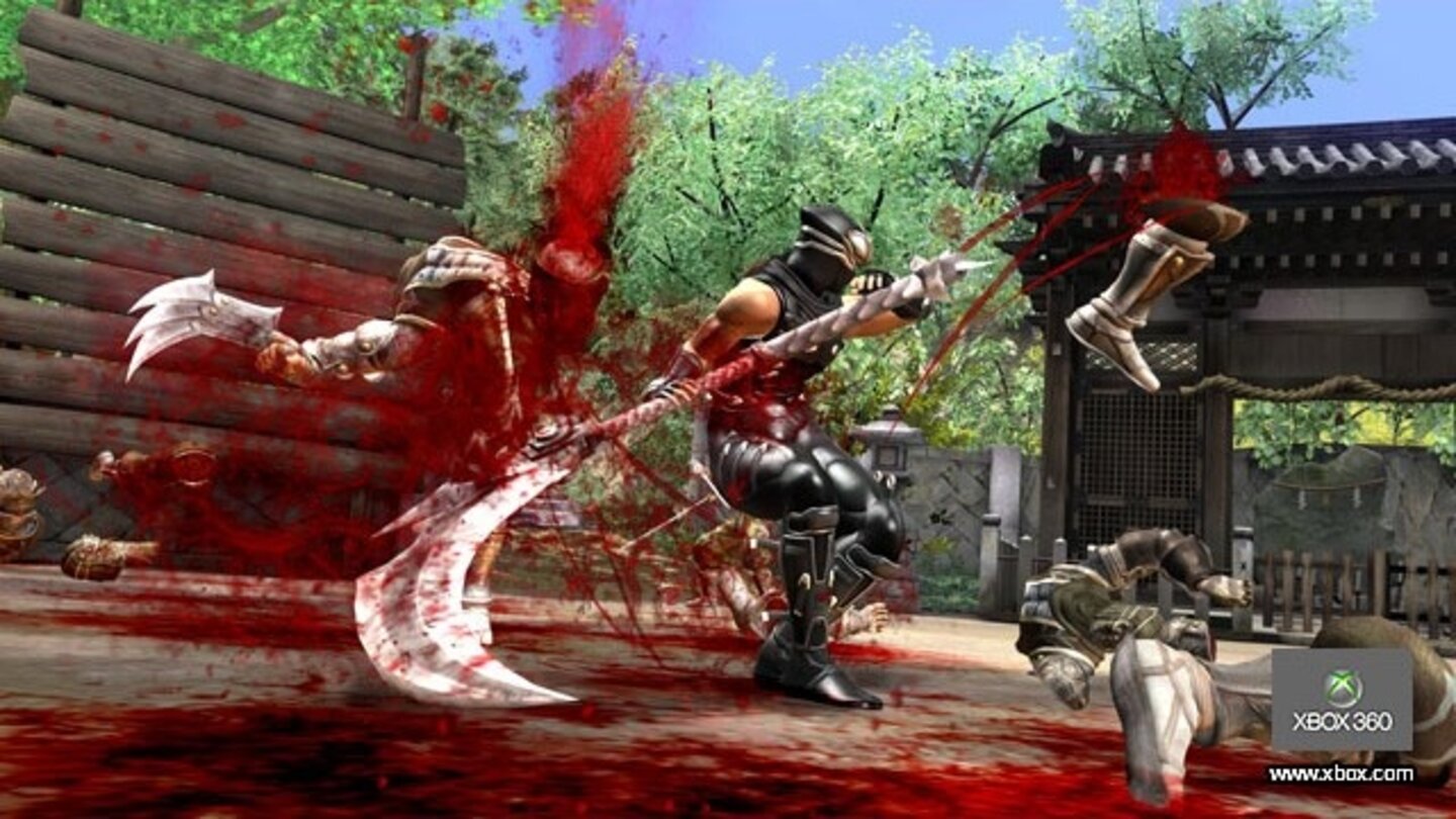 Ninja Gaiden 2 7