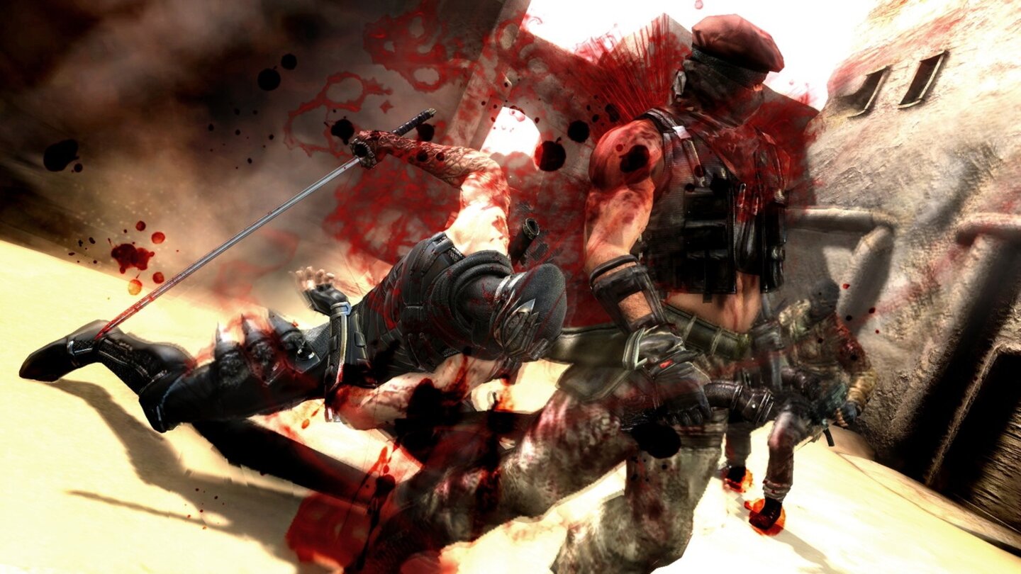 Ninja Gaiden 3