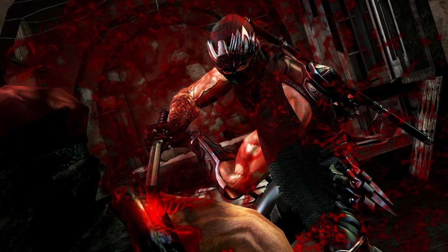 Ninja Gaiden 3
