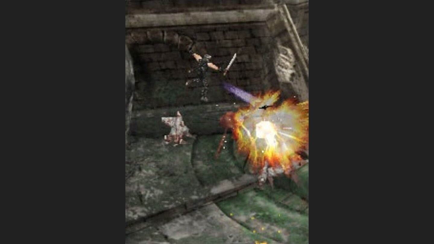 Ninja Gaiden DS 15