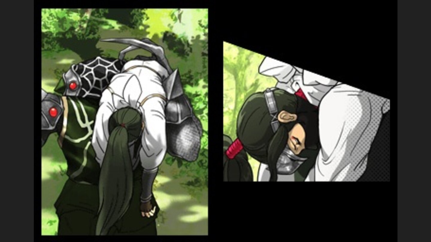 Ninja Gaiden DS 21