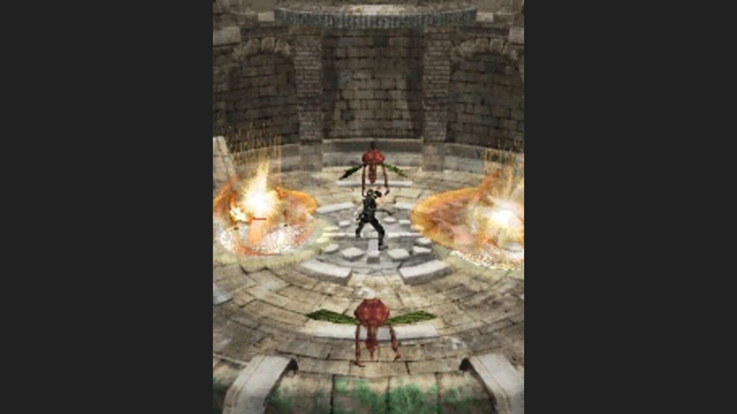 Ninja Gaiden DS 8