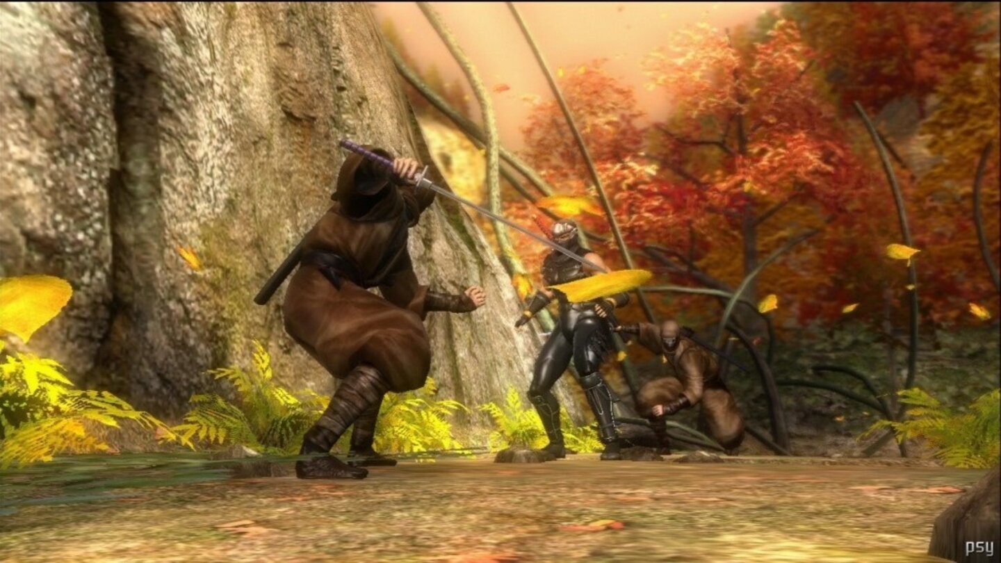 ninja gaiden sigma 10