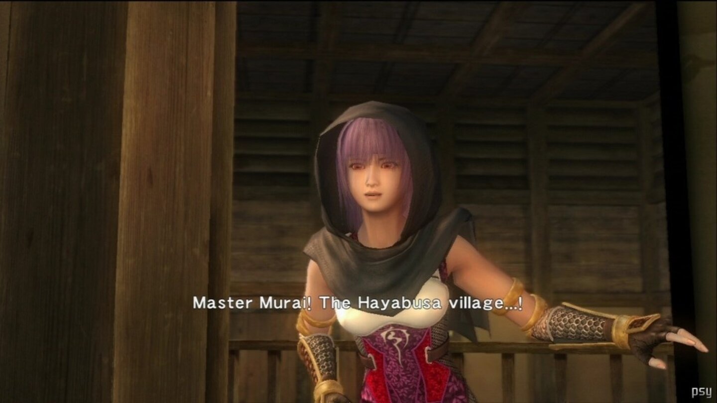 ninja gaiden sigma 11