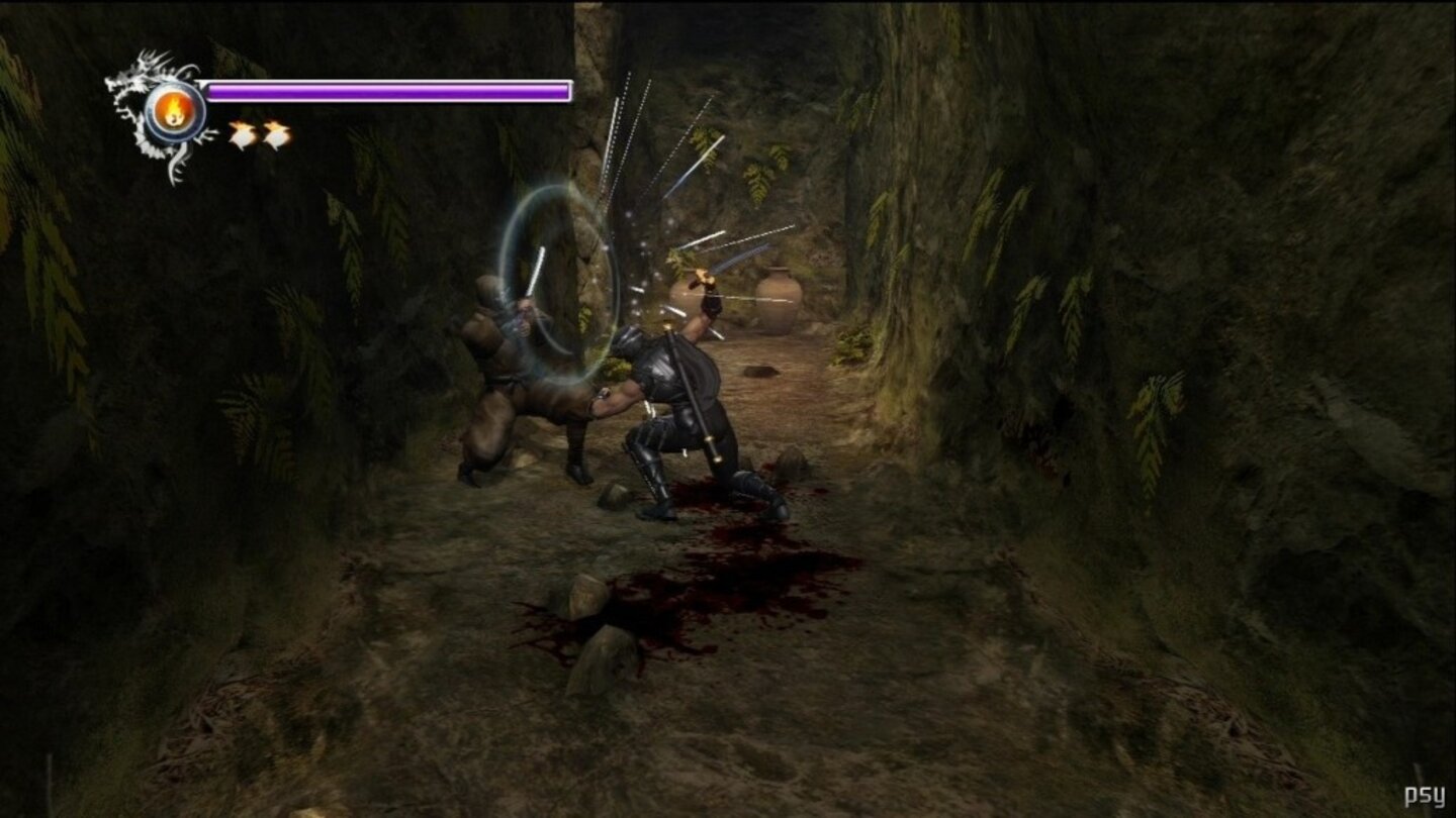 ninja gaiden sigma 12